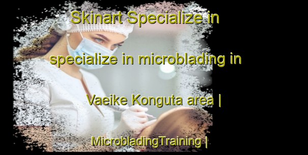 Skinart Specialize in specialize in microblading in Vaeike Konguta area | MicrobladingTraining | MicrobladingClasses | SkinartTraining-Estonia